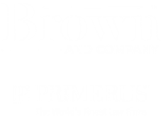 brown site logo copy 3
